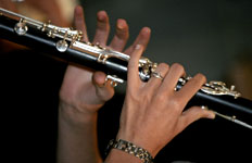 Des ap�ritifs aux mariages, nous nous adaptons � tous styles musicaux